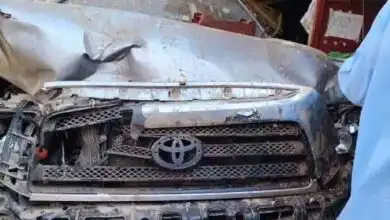 ارتفاع عدد ضحايا التندرا في بحري